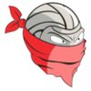 VOLLEYBALL BANDIT RQC